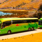 Ruta del Sol + Lago Titicaca Full Day + Bus Directo Nocturno