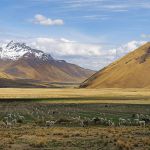 Ruta del Sol + Lago Titicaca 3D2N + Bus Directo Nocturno