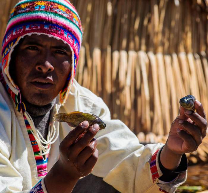 Tour Lago Titicaca 2D1N (Uros, Amantaní y Taquile)